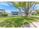 Home exterior highlighting the manicured lawn and a large tree providing shade at 4016 Grayton Dr, New Port Richey, FL 34652