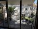 Cozy balcony featuring two chairs, plants, and a view of the surrounding neighborhood at 5423 Sweetwater Terrace Cir, Tampa, FL 33634