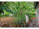 Lush backyard featuring mature landscaping, a fence, and an outdoor water hose at 6006 Axelrod Rd, Tampa, FL 33634