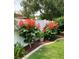 The bright red flowers near the yard's edge enhance the landscape at 8101 Roxboro Dr, Hudson, FL 34667