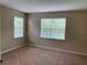 Neutral bedroom featuring carpet flooring, light walls, and two large windows that provide plenty of natural light at 8320 Manor Club Cir # 4, Tampa, FL 33647
