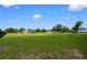 Large backyard with a generous grassy area, ideal for various outdoor activities and entertainment at 10510 Lithia Estates Dr, Lithia, FL 33547