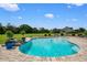 A refreshing backyard pool with a brick surround and meticulously maintained landscaping offers a serene outdoor escape at 10510 Lithia Estates Dr, Lithia, FL 33547