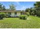 Lush backyard featuring well-kept lawn, mature plants and a lattice covered area attached to the rear of the home at 1116 W Kirby St, Tampa, FL 33604