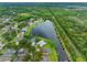 Aerial view showcasing lakefront homes with lush surroundings and serene lake; perfect blend of comfort and nature at 12439 Bristol Commons Cir, Tampa, FL 33626