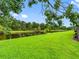 Lush backyard with a serene pond view, framed by mature trees and greenery, creating a private oasis at 12439 Bristol Commons Cir, Tampa, FL 33626