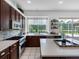 Bright kitchen featuring dark wood cabinets, a stainless steel stove, and a window with a view at 12439 Bristol Commons Cir, Tampa, FL 33626