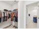 Walk-in closet featuring organized storage and an open view into the bathroom at 15825 Mauvewood Ave, Odessa, FL 33556