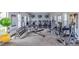 Well-equipped fitness center with modern exercise machines and free weights at 15825 Mauvewood Ave, Odessa, FL 33556
