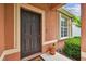 The front entrance features a dark-toned door with sidelight and manicured landscaping at 20244 Merry Oak Ave, Tampa, FL 33647