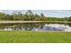 Beautiful pond reflecting the sky and trees, surrounded by a green grassy area at 20244 Merry Oak Ave, Tampa, FL 33647