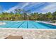 A gorgeous swimming pool with trees and lounge chairs, set on a beautiful sunny day, perfect for community relaxation at 20244 Merry Oak Ave, Tampa, FL 33647