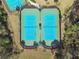 Aerial view of well-maintained community tennis courts, surrounded by trees and greenery, for recreational enjoyment at 20244 Merry Oak Ave, Tampa, FL 33647