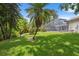 Well-manicured backyard with tropical trees and greenery, featuring a screened pool enclosure at 3037 Crest Dr, Clearwater, FL 33759