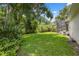 Expansive backyard featuring lush green lawn and tropical landscaping surrounding the screened-in pool at 3037 Crest Dr, Clearwater, FL 33759