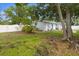 Spacious backyard with green lawn and tropical landscaping around the perimeter at 4300 Maple Ne St, St Petersburg, FL 33703