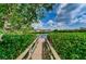 Wooden dock surrounded by greenery and scenic water views, offering a peaceful spot to relax and enjoy the natural surroundings at 4580 Overlook Ne Dr # 191, St Petersburg, FL 33703