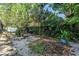 Lush backyard featuring mature trees, privacy hedges, and a serene garden area at 489 W Davis Blvd, Tampa, FL 33606
