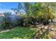 Grassy backyard features mature trees, lush landscaping, and a charming outdoor seating area with grill at 489 W Davis Blvd, Tampa, FL 33606