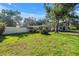 Well-maintained lawn, mature trees provide shade for a home with a clean white exterior and black trim at 489 W Davis Blvd, Tampa, FL 33606