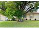 Charming single-story home featuring a well-manicured lawn and mature trees providing ample shade at 4906 N Arrawana Ave, Tampa, FL 33614