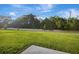 Expansive backyard featuring a lush green lawn and privacy fence at 7737 Rosewood Garden Loop, Tampa, FL 33637