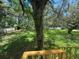 Spacious backyard featuring green grass, lush trees, and partial fencing at 9053 Bourbon St, New Port Richey, FL 34654