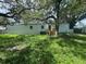 Home's backyard featuring lush grass and shade from large mature trees at 9053 Bourbon St, New Port Richey, FL 34654