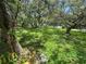 Spacious backyard featuring green grass, lush trees, and partial fencing at 9053 Bourbon St, New Port Richey, FL 34654
