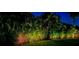 The landscaped backyard features lush foliage, enhanced by garden lighting at 10675 Park Place Dr, Largo, FL 33778