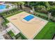 Outdoor basketball court with blue painted key and well-maintained landscaping at 11911 Sunburst Marble Rd, Riverview, FL 33579