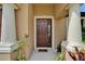 Close-up of the front door with decorative pillars and planters creating an inviting entryway at 11911 Sunburst Marble Rd, Riverview, FL 33579