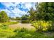 Scenic view of the neighborhood pond surrounded by lush greenery at 12106 Clearbrook Ct, Riverview, FL 33569