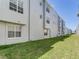 Long strip of grass behind the building at 4503 Legacy Park Dr, Tampa, FL 33611