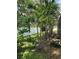 Backyard landscaping featuring palm trees along a white fence at 534 N Larry Cir, Brandon, FL 33511
