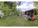 A spacious backyard with green grass, fruit trees, and patio furniture, great for outdoor enjoyment at 7542 Armand Cir, Tampa, FL 33634