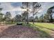 Expansive lawn with mature trees provides ample space for outdoor activities and enjoyment at 9481 Highland Oak Dr # 1308, Tampa, FL 33647
