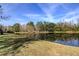 Scenic pond with reflective water and lush greenery, creating a peaceful and serene environment at 9481 Highland Oak Dr # 1308, Tampa, FL 33647