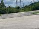 Street view with greenery and utility poles in the background on a cloudy day at 10109 36Th E Ct, Parrish, FL 34219