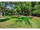 Picture of an expansive backyard with lush green grass, mature trees, and dense vegetation, creating a private oasis at 2121 Dodge St, Clearwater, FL 33760