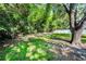 Backyard featuring well-maintained lawn, shade trees, fenced perimeter, and mature landscaping at 2121 Dodge St, Clearwater, FL 33760