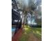 Expansive backyard with lush lawn and mature trees, perfect for outdoor activities at 2215 Toniwood Ln, Palm Harbor, FL 34685