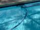 Close up of a pool with crystal clear water at 2215 Toniwood Ln, Palm Harbor, FL 34685