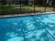 Close up of a pool with crystal clear water, ready for a refreshing swim at 2215 Toniwood Ln, Palm Harbor, FL 34685