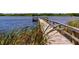 Wooden dock extending into a calm lake, with tall reeds in the foreground at 2430 Florentine Way # 40, Clearwater, FL 33763