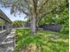 Backyard with a large tree, trampoline, and privacy fence at 3426 Coldwell Dr, Holiday, FL 34691