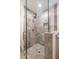 Luxurious shower features glass door, river rock floor, and stone tile at 3437 Aspen Trl, Clearwater, FL 33761