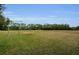 Open baseball field with lush green grass and a chain-link backstop, perfect for recreational play at 8604 Herons Cove Pl, Tampa, FL 33647