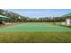 Community basketball court on a green surface, surrounded by lush grass, nearby playground and park at 8604 Herons Cove Pl, Tampa, FL 33647