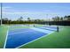 Well-maintained tennis courts with blue and green surfaces are surrounded by a secure black fence at 8604 Herons Cove Pl, Tampa, FL 33647